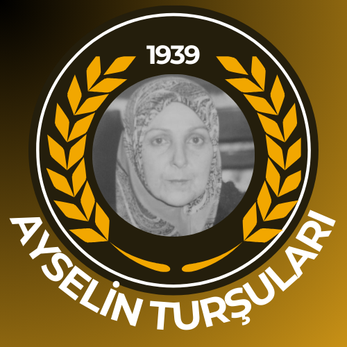 AYSELİN TURŞULARI
